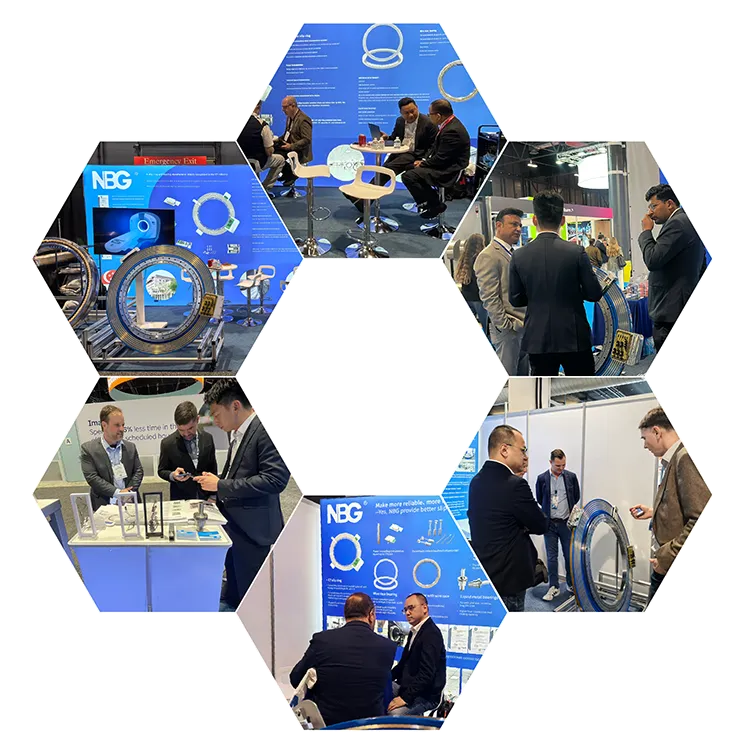 NBG Shines Worldwide Exbition！
