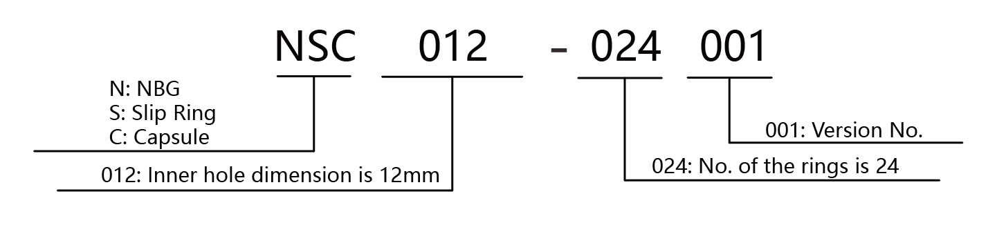 NSC012024001