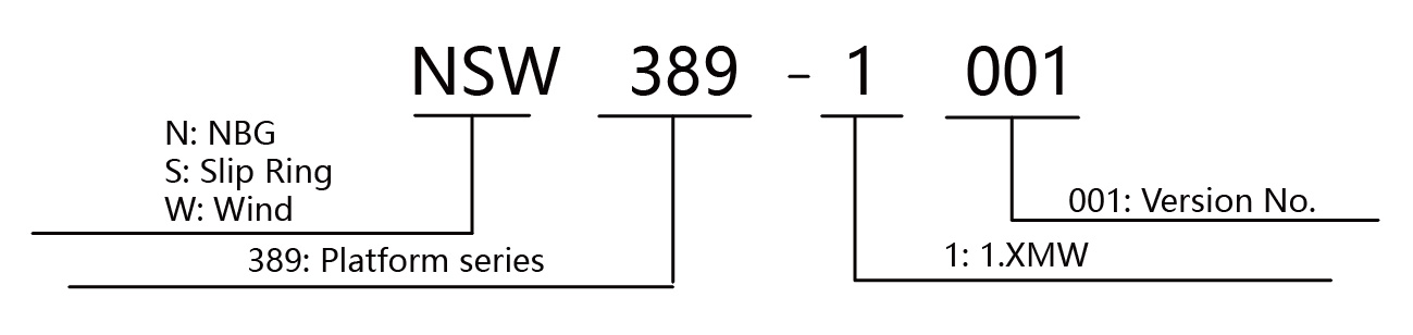 NSW389.1001