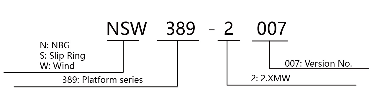 NSW389.2007