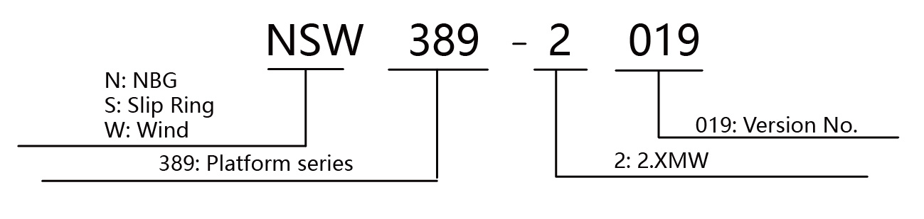 NSW389.2019